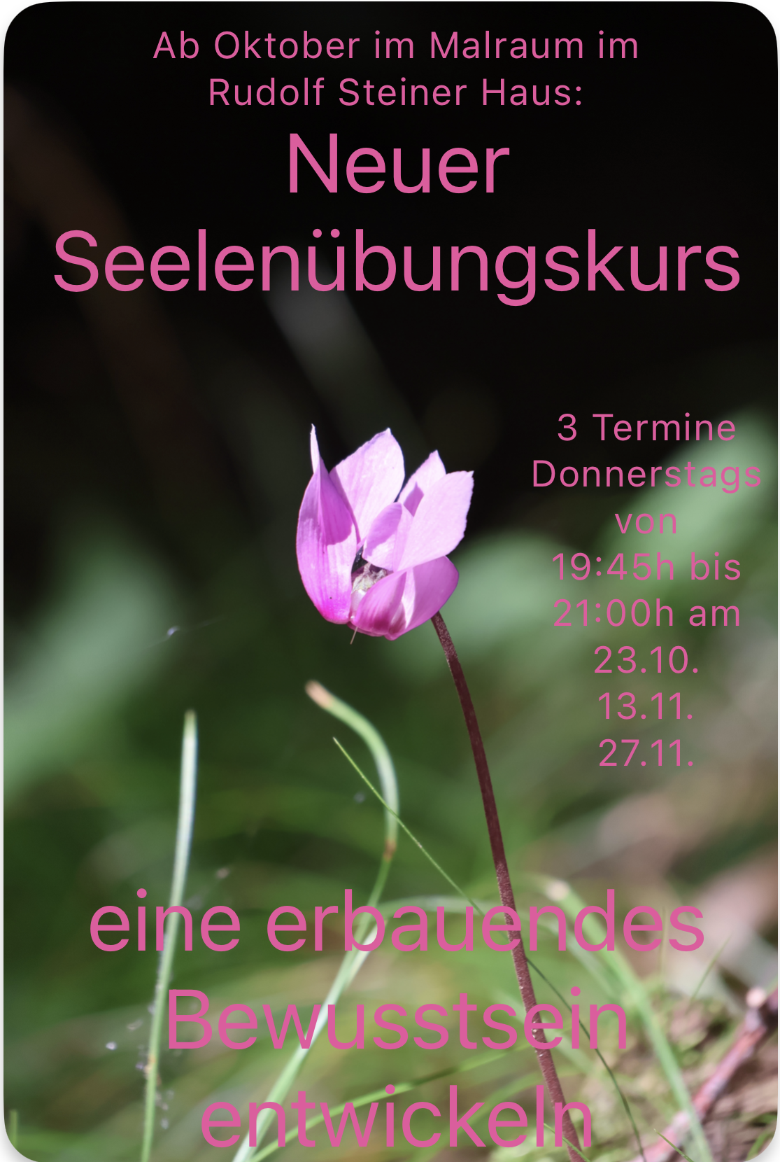 Bildschirmfoto 2025-08-27 um 13.05.19